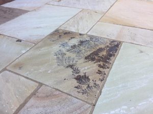 Mint Fossil Indian Sandstone Paving Golden Fossil Indian Stone